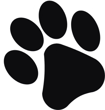 Animal Footprint Illustration